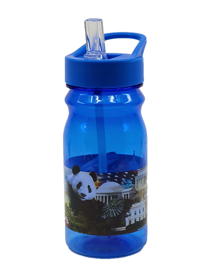 Blue Washington D.C Panorama Kids Water Bottle