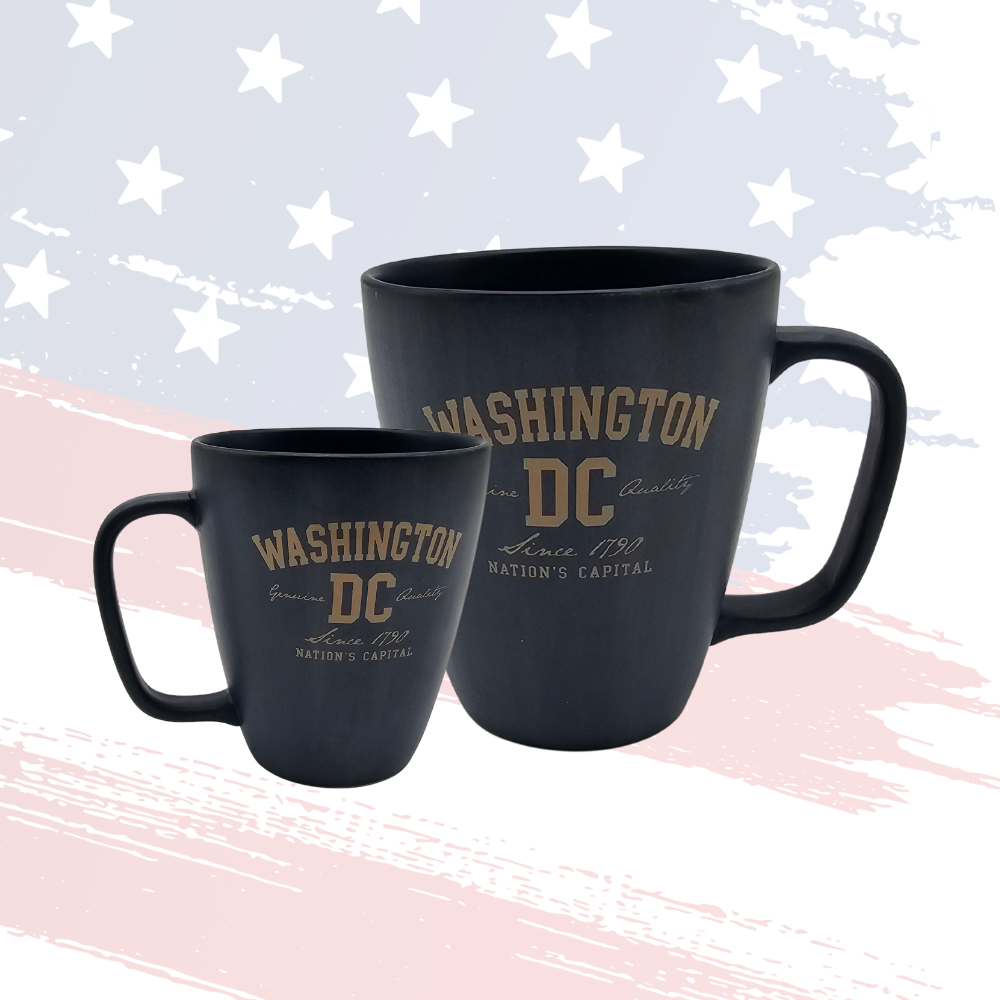 Washington DC Since 1790 Dusty Blue Coffee Mug – 16oz Matte Finish