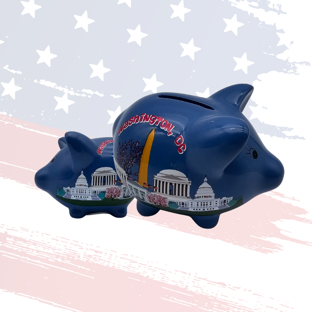 Washington D.C. Kids Piggy Bank – Exclusive Blue & White Design with Cherry Blossoms, Educational & Fun