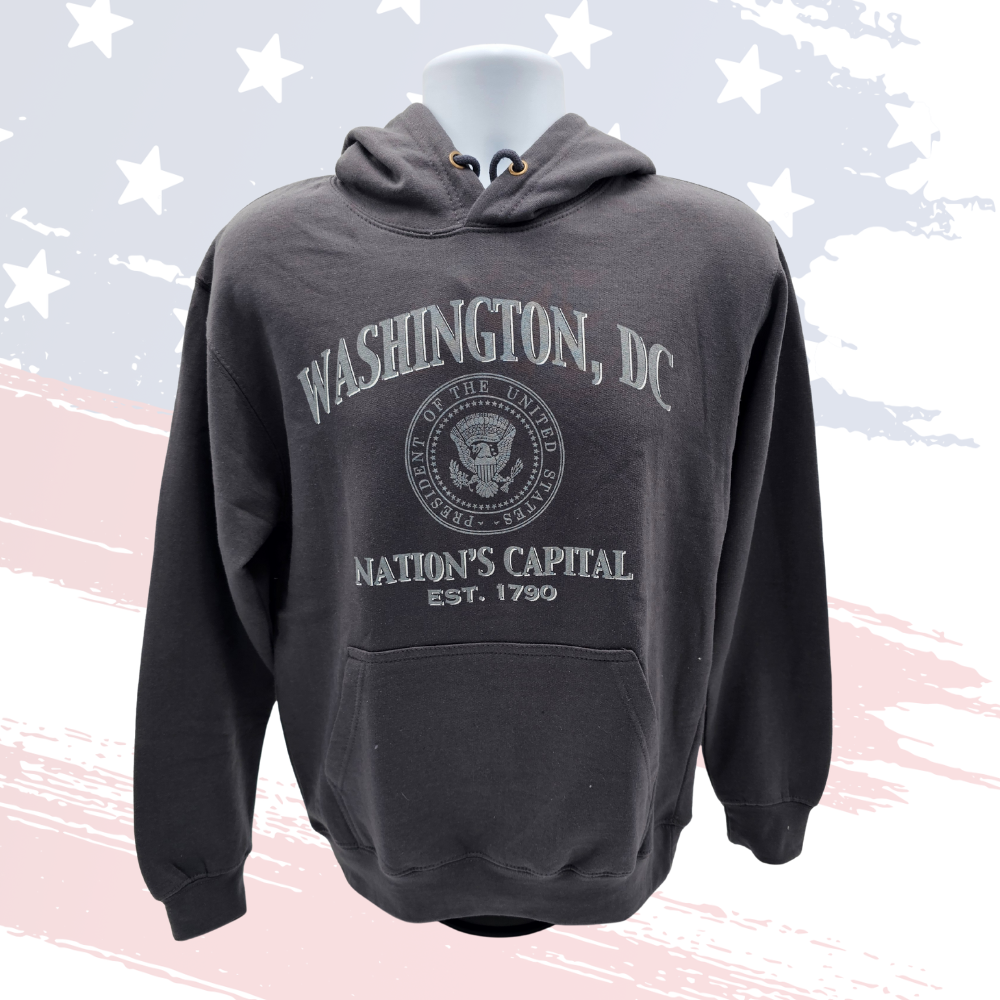 Washington, DC Hoodie – True Gray | Premium Unisex Comfort