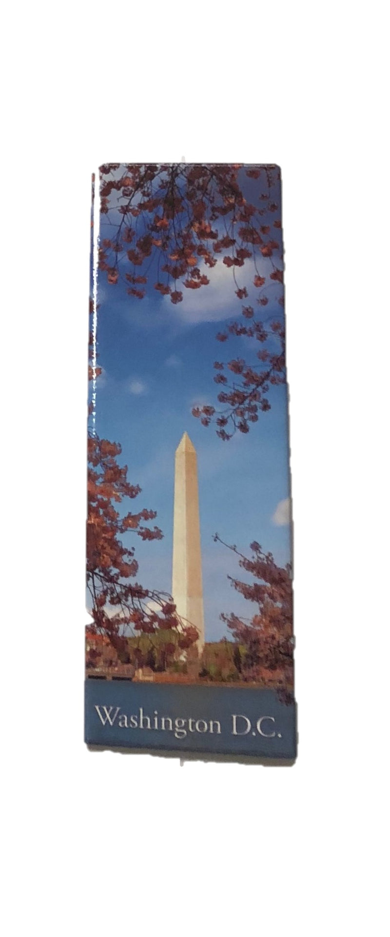 Washington Monument Cherry Blossom Magnet