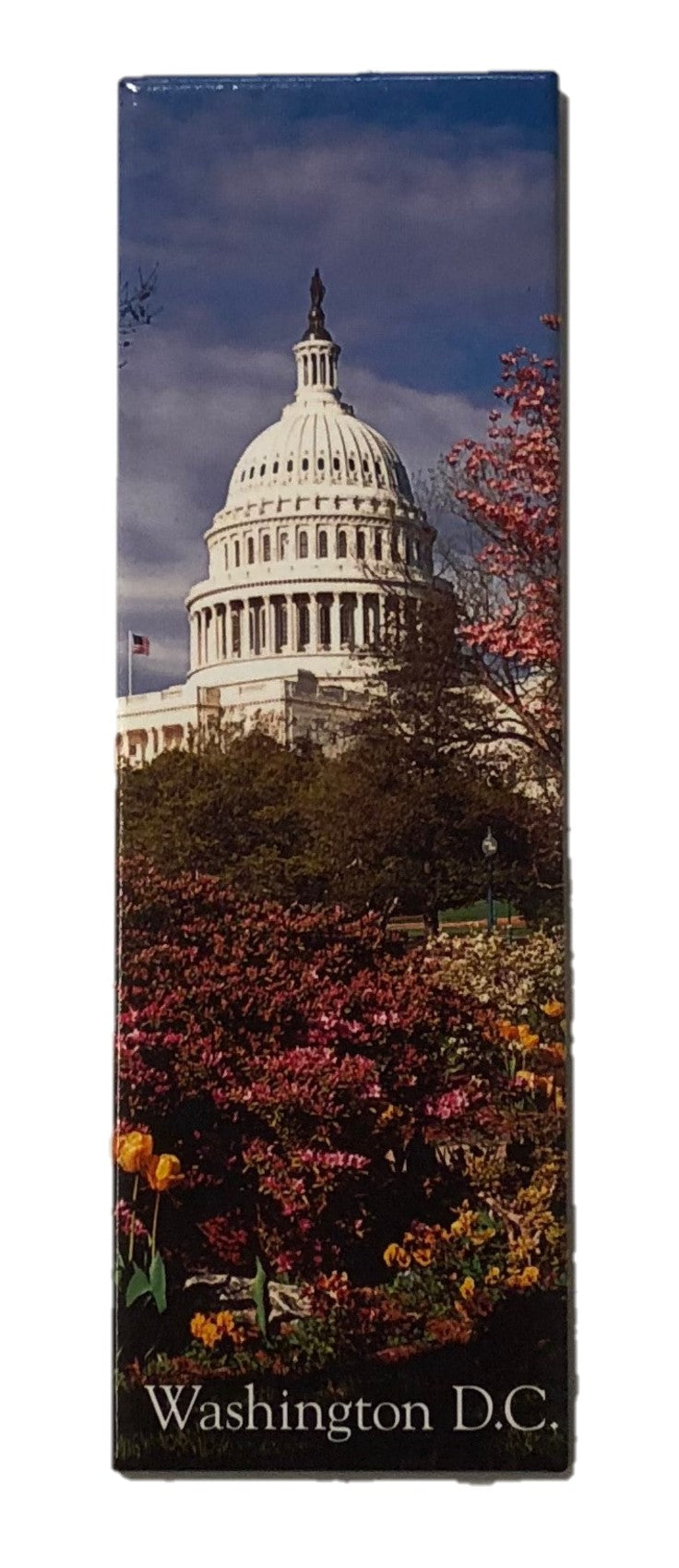U.S. Capitol Spring Flower Magnet